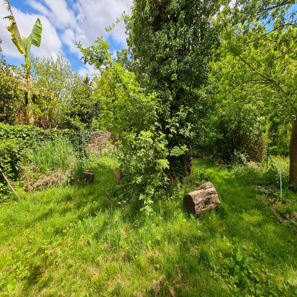 Offres de vente Immeuble Nantes 44000