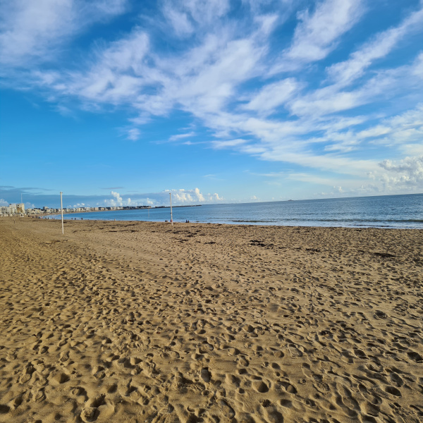 Offres de vente Villa La Baule-Escoublac 44500